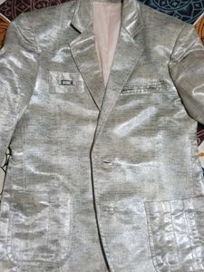 Unique Silver/Beige Blazer