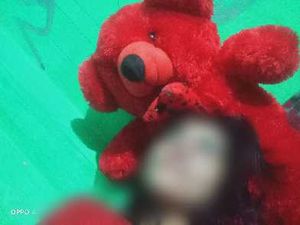 Red Plush Teddy Bear