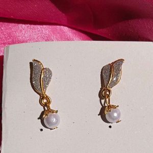 Pairs Of 2Ragular Earings And Studds Combo