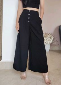 Zara Culottes Pants
