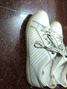 Classy White Sneakers For Men By Ajile Pantaloons