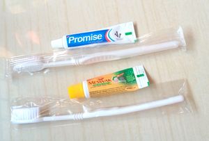 Travelling Dental kit Combo