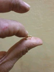 Cute Gold Nose Pin