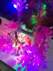 Flowers Led Lights For Decoration