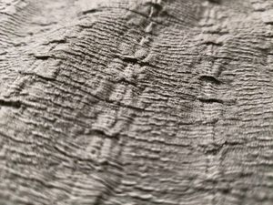 Green Long Sleeve Dress