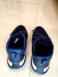 Campus Navy Blue Sneakers