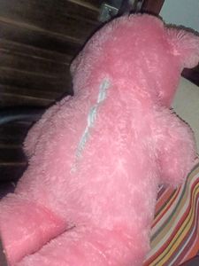 Pink Teddy Bear