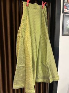 Elegant Ethnic Skirt