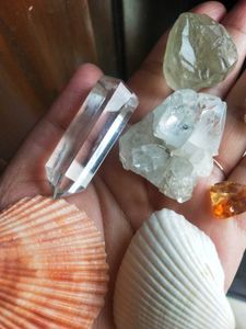 Healing Crystals &amp; Seashells Collection