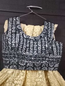 Gorgeous Lehenga Choli