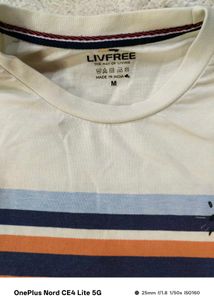 Combo Of 3 Cotton T Shirts