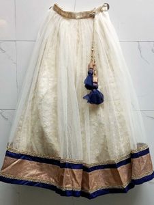 elegant and classy lehenge skirt with blouse an