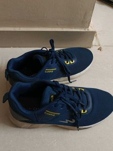Campus Shoes Looks Like New