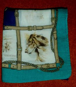 Rudolph Valentino Bandana