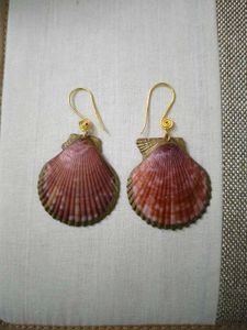 Beautiful Pink Shell Earrings For Women