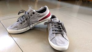 US polo Gray Sneakers with Red Accent