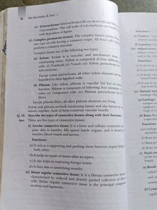 Science Sample Test Book Class 9 Xam Idea