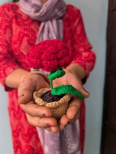 Crochet Flower Potted Plant