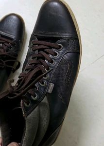 Stylish Branded Formal Shoes For Men