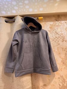 Grey Hoodie Sweatshirt ✨