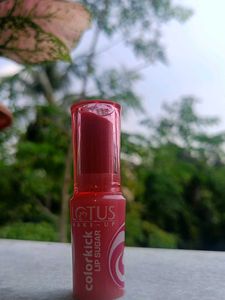Lotus ColorKick Lip Sugar