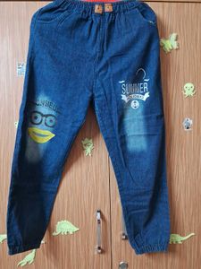 Denim Stylish Pant