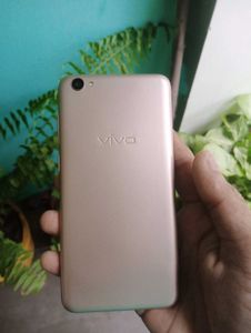 Vivo Y55 phone