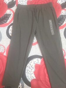 New Unused Joggers Lower track pant