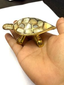 Wish Tortoise