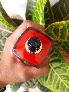 Giorgio Armani Si Passione EDP Intense 🥀