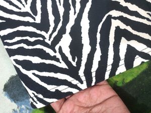 Beautiful Zebra Print Top Amazing Piece 😍