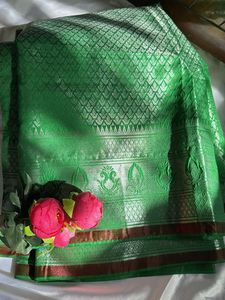 Parrot Green Saree With Stitched Blouse