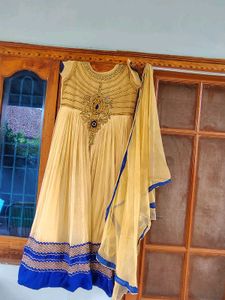 Elegant Ethnic Gown