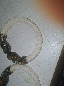 Peacock White Beads Kada