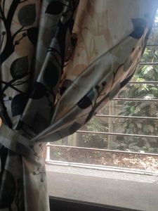 Curtains In New Condition Need A Wash .
