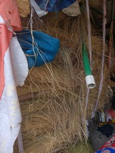 Jwellery/Makeup/Fruit holder | Grass Items