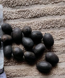 Original Kamal Gatta Lotus Seeds 21 Pcs Lakshmi P