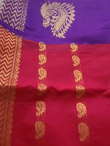 South Cotton Saree
