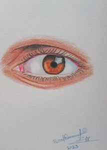 Colour Pencil Drawing