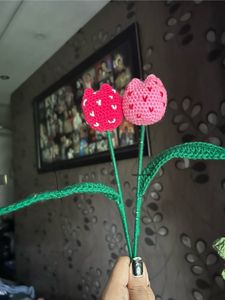 Heart Tulip