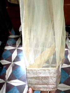 Party Wear 5 Piece Lehenga Choli