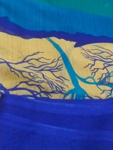 Beautiful Georgette Saree Without Blouse