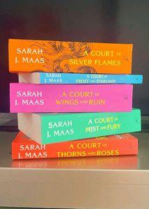 Court Of Wings And Ruins Book