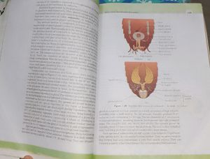 Biology Textbook For Class 11 XI 1st PUC NCERT