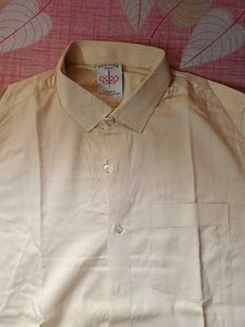New Party Shirt