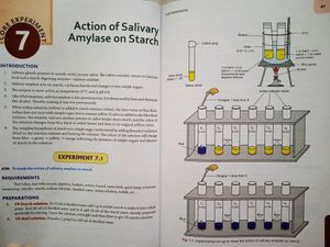 BIOLOGY LAB MANUAL CLASS XII CBSE