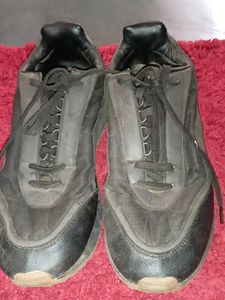 Zara Shoe