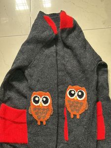 Owl Sweater