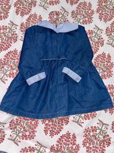 Babyhug Cotton Knit Full Sleeve Frock
