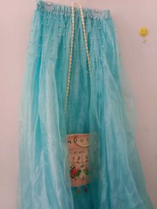 Turquoise Tulle Skirt